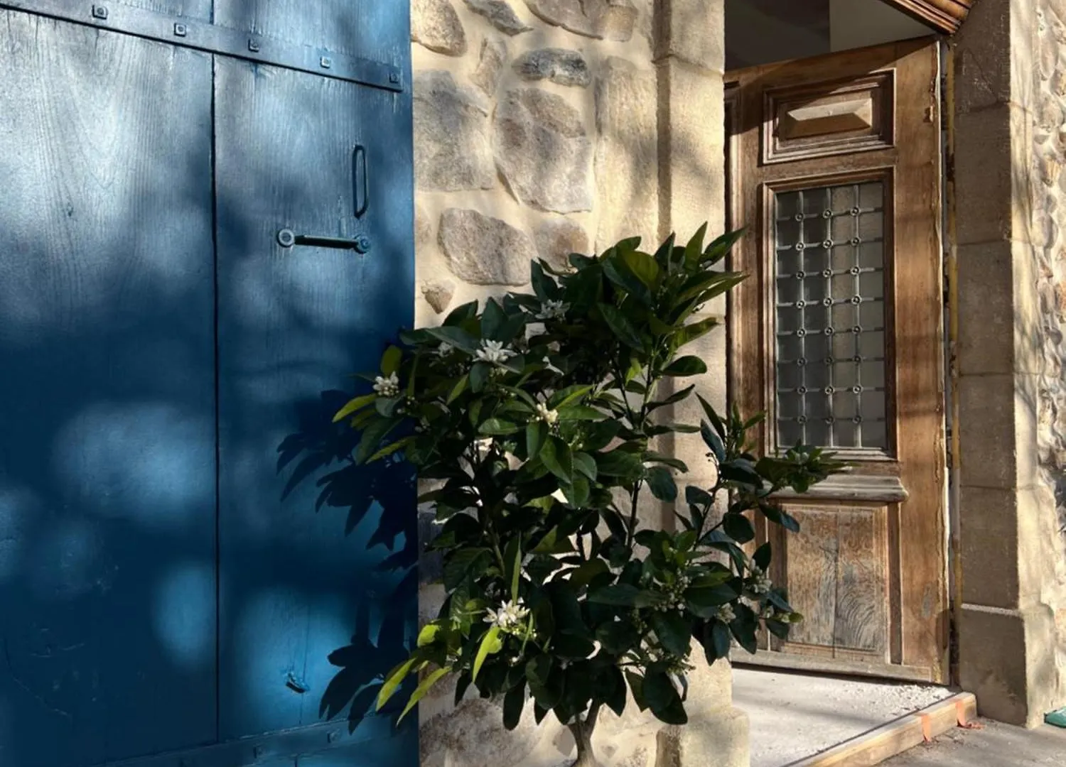 Bed & Breakfast Maison Gabrielle Vals-les-Bains Frankrijk